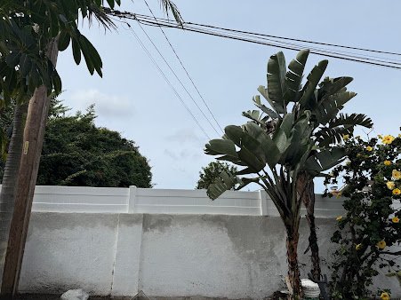 Fence Installation Near Me